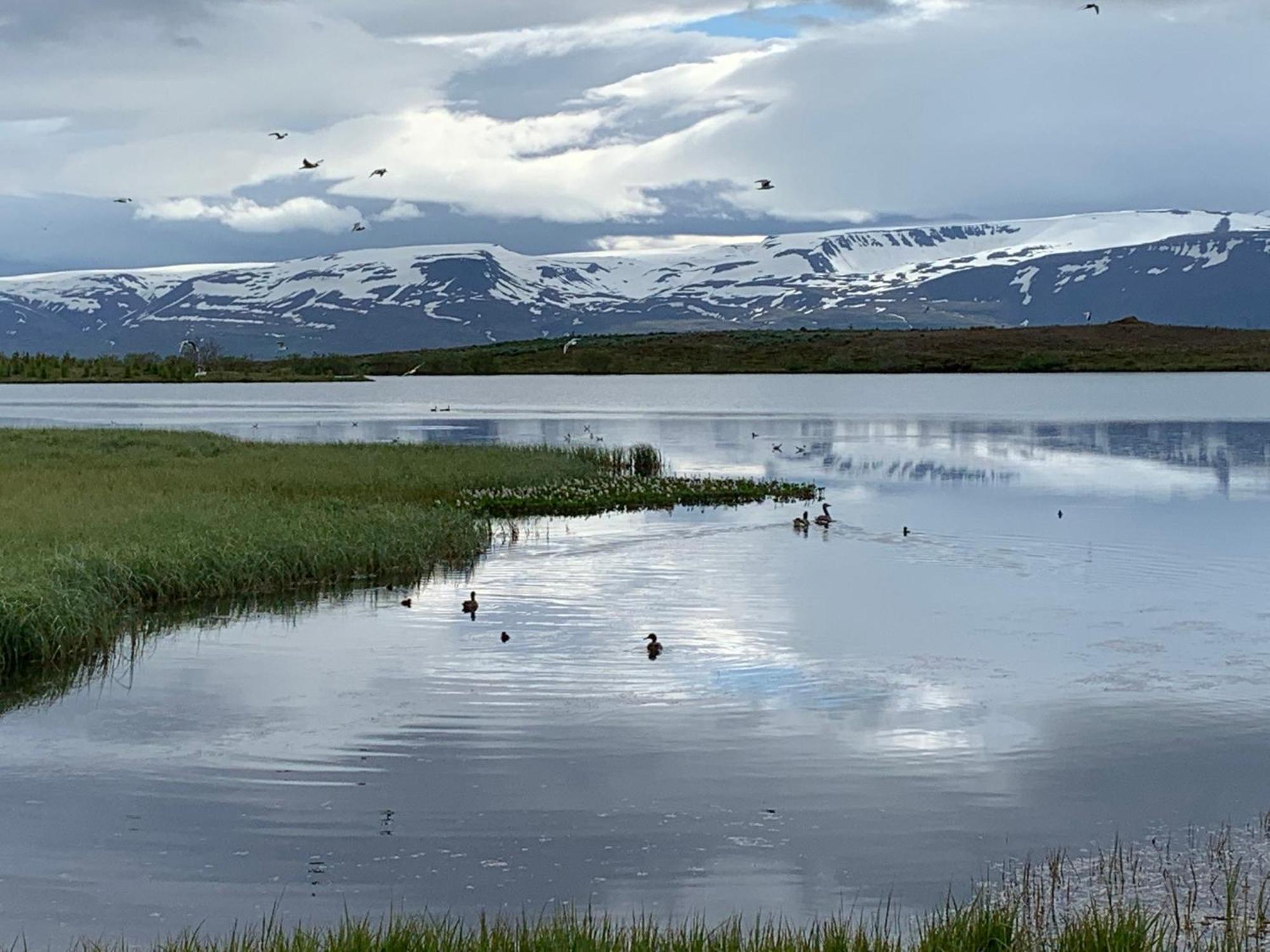 Kaldbaks-Kot Cottages Húsavík Εξωτερικό φωτογραφία