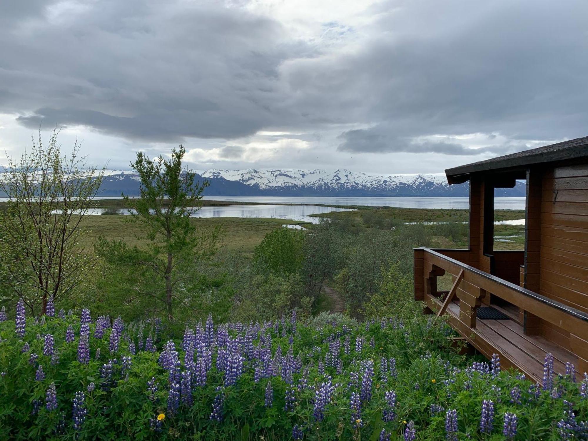 Kaldbaks-Kot Cottages Húsavík Εξωτερικό φωτογραφία