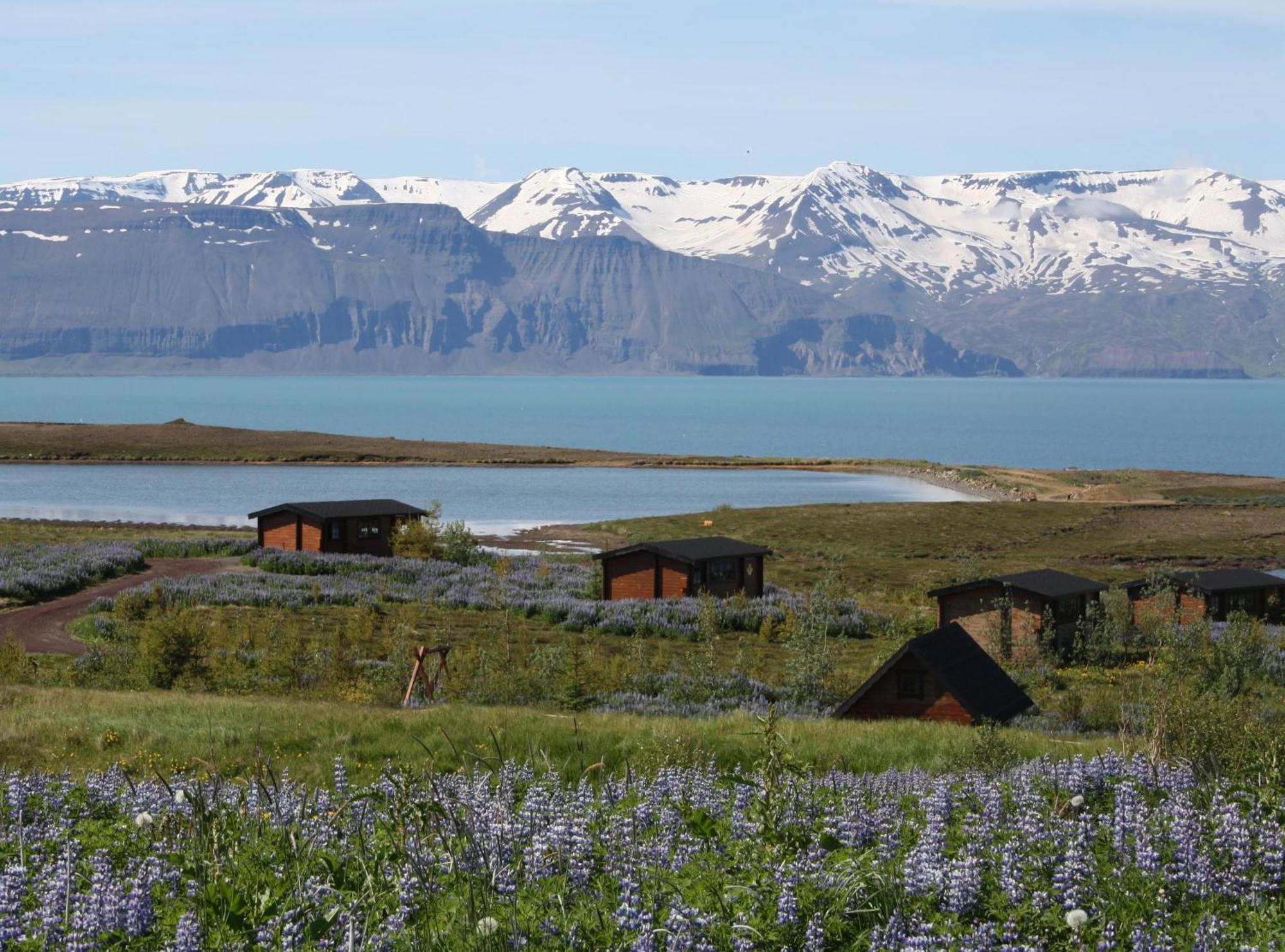 Kaldbaks-Kot Cottages Húsavík Εξωτερικό φωτογραφία
